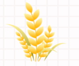 20250807103704161.png 20250807103704161.png